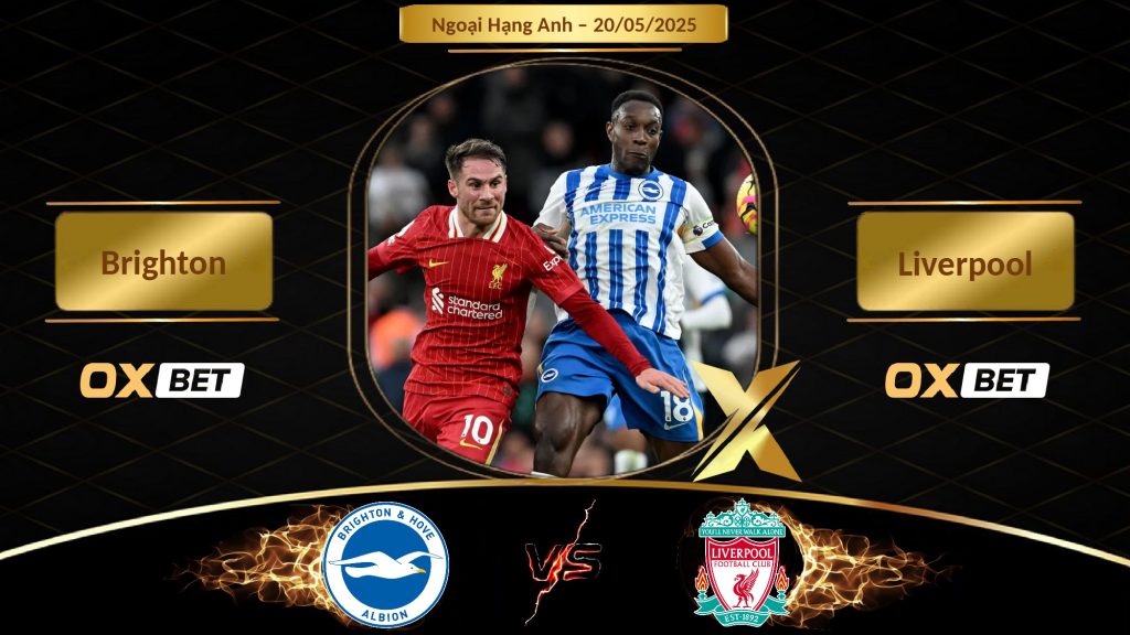 Soi kèo Brighton vs Liverpool, 20/05/2025, nhà cái Oxbet