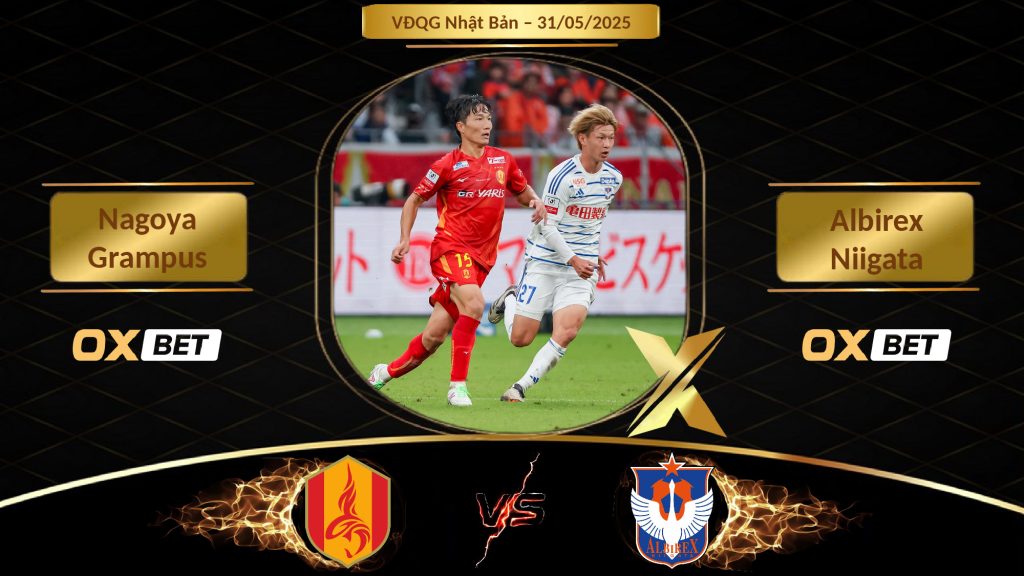 Soi kèo Nagoya Grampus vs Albirex Niigata, 31/05/2025, nhà cái Oxbet